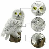 owl solar lamp